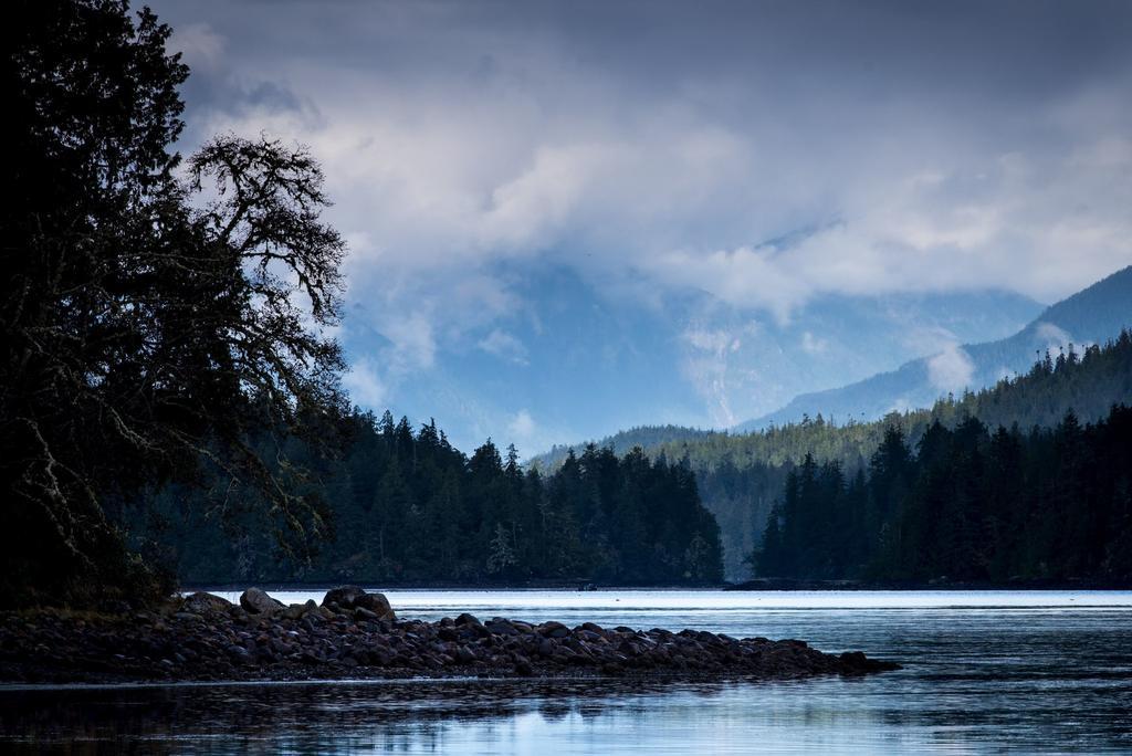 Ecolodge - Tofino Kültér fotó
