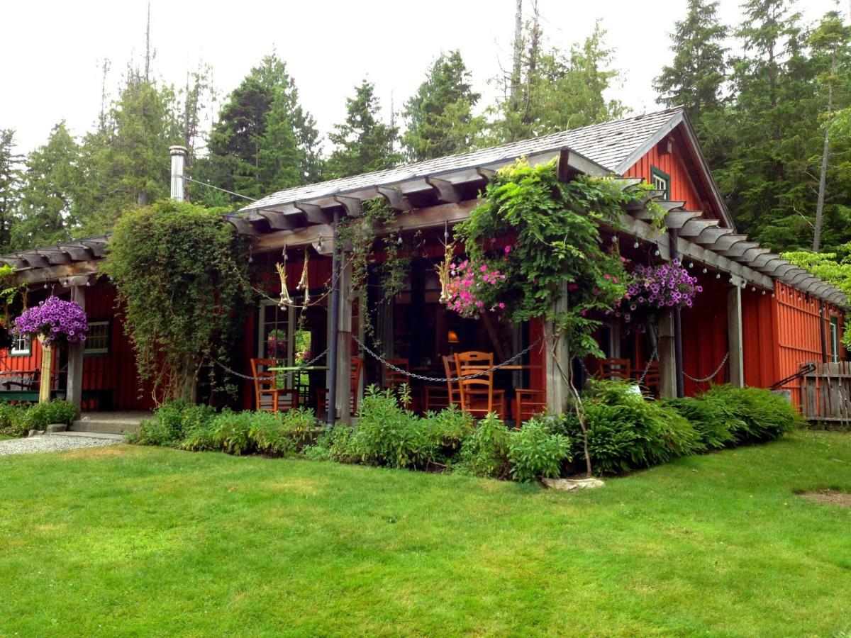 Ecolodge - Tofino Kültér fotó