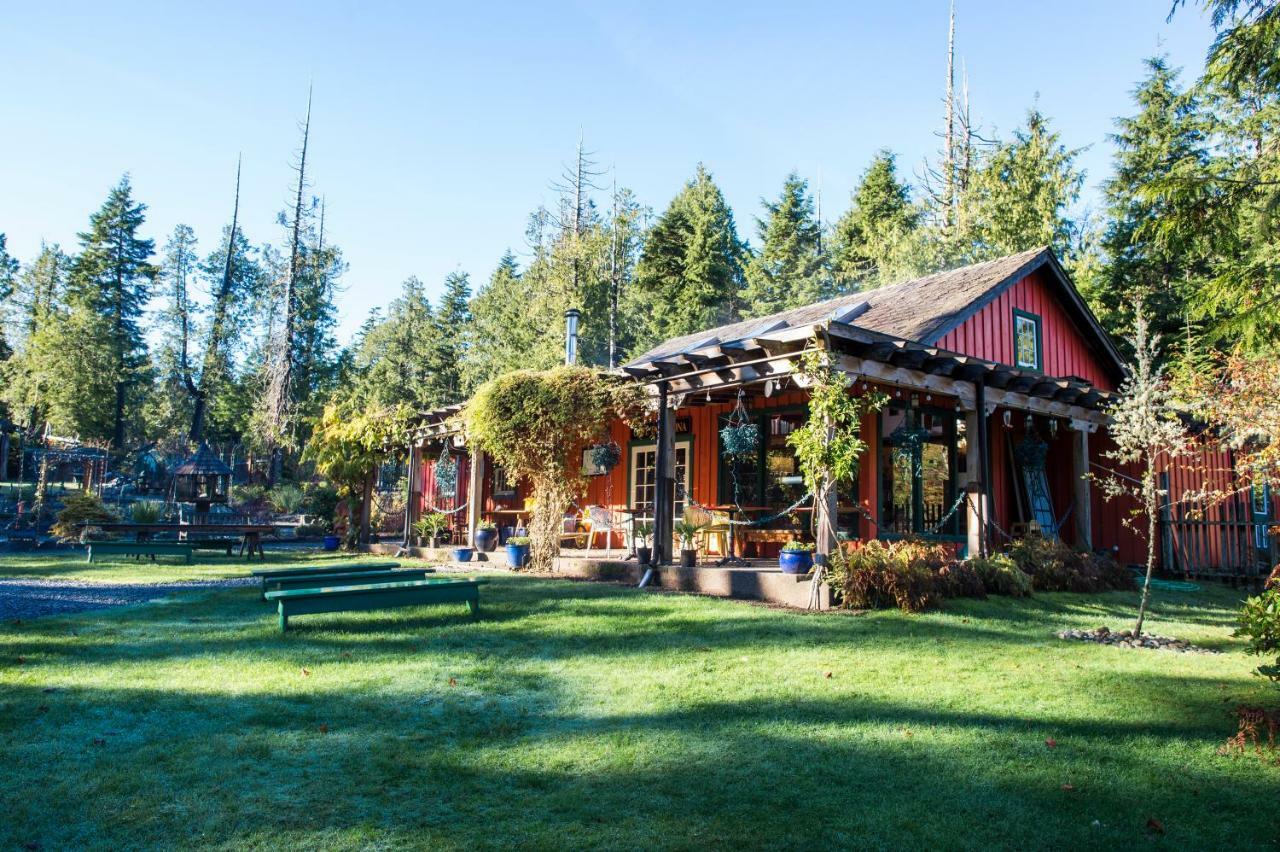Ecolodge - Tofino Kültér fotó